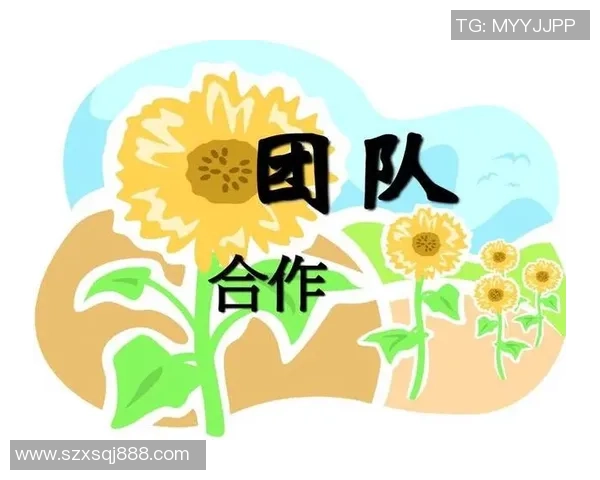 DOTA2战队WE的战术演变与团队协作深度解析