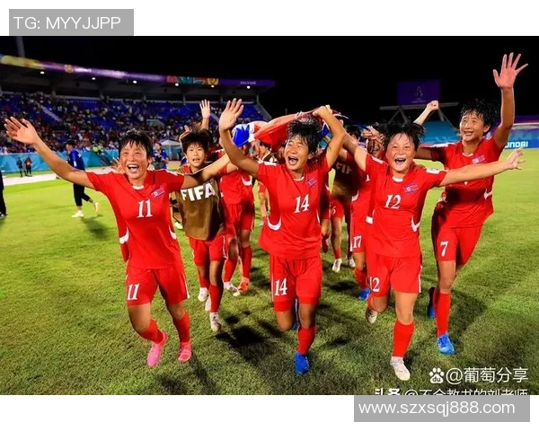 上海排球队的拼搏之路：世界杯背后的奋斗与荣耀