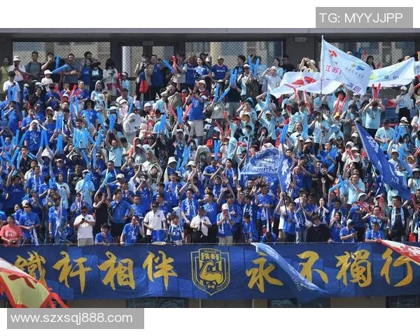 南京极限运动队实力分析与发展潜力探讨