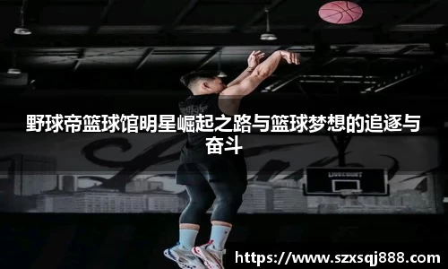 野球帝篮球馆明星崛起之路与篮球梦想的追逐与奋斗