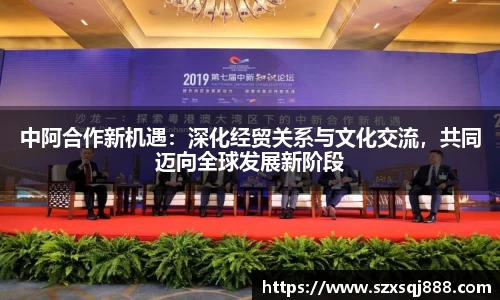中阿合作新机遇：深化经贸关系与文化交流，共同迈向全球发展新阶段