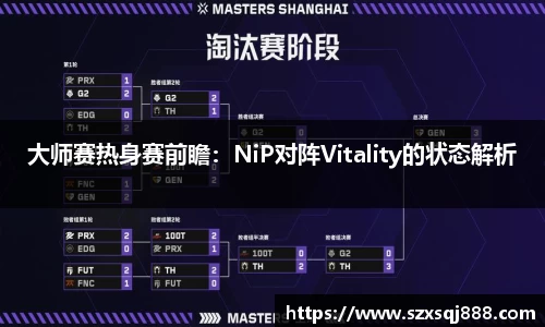 大师赛热身赛前瞻：NiP对阵Vitality的状态解析