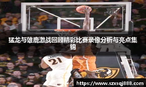多宝电竞官网